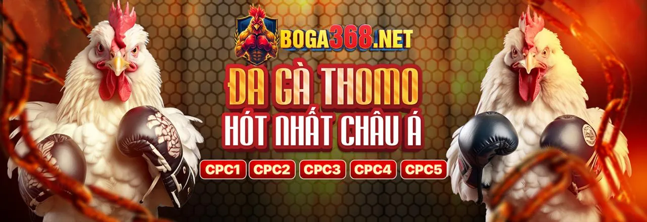 Hình ảnh đá gà trực tuyến đỉnh cao tại 868vip1 Đăng Nhập